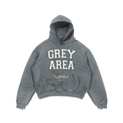 COLLEGIATE HOODIE
