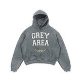 COLLEGIATE HOODIE